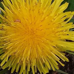 Meet your Posher, Agata